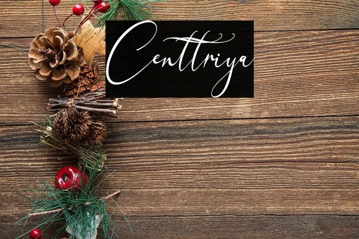 Centtriya Example 2
