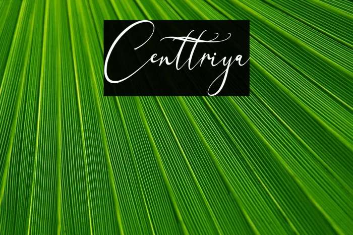 Centtriya Example 3