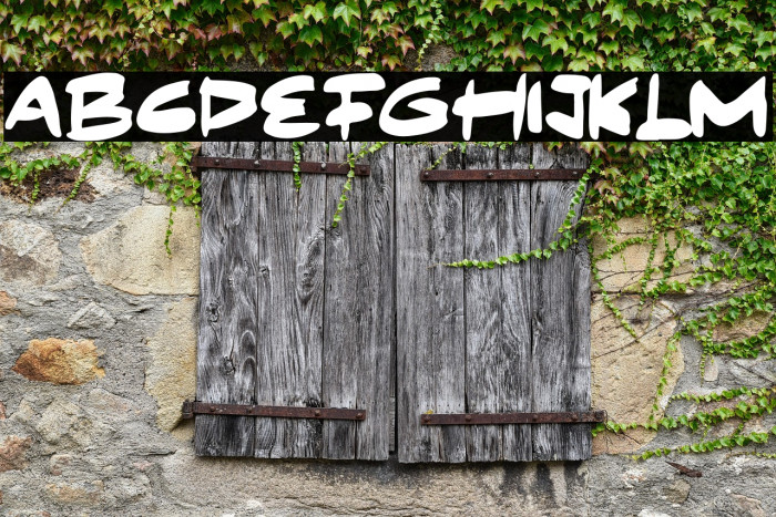 Century Wishes Example 2