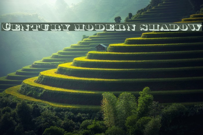 Century modern shadow Font examples