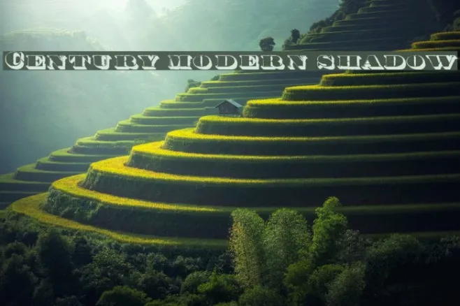 Century modern shadow Example 3