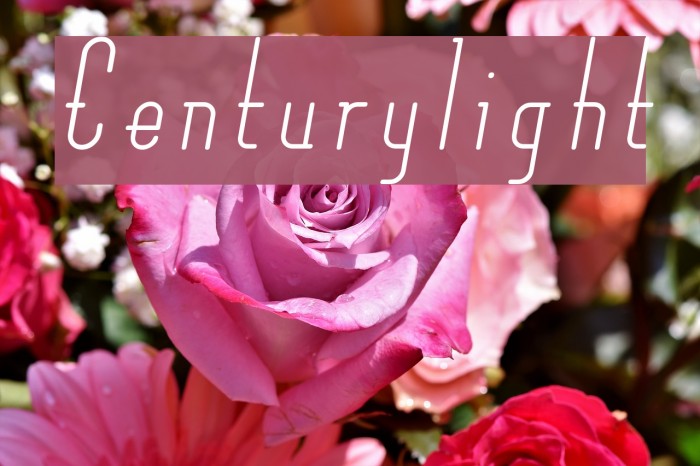 Centurylight Example 1