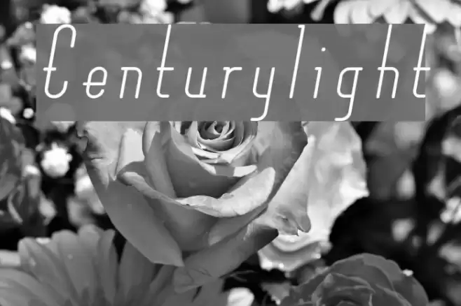 Centurylight Font examples