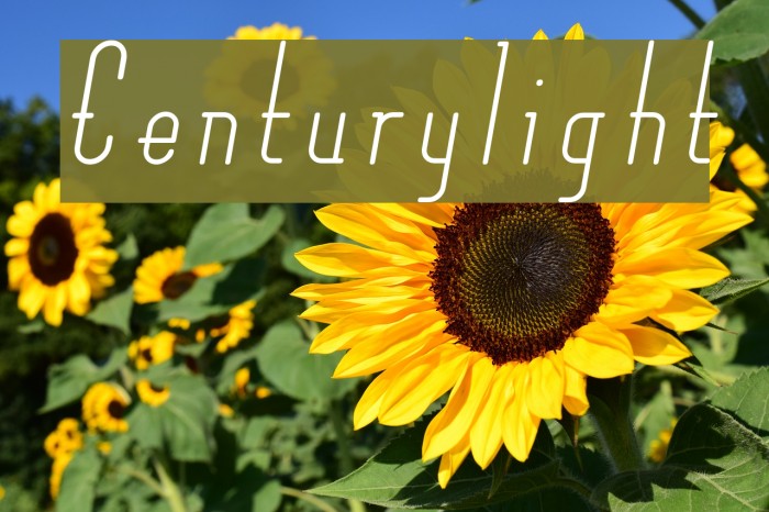 Centurylight Example 3