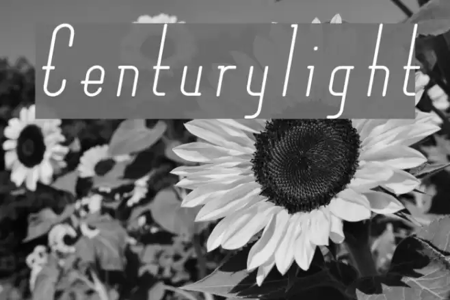 Centurylight Font examples