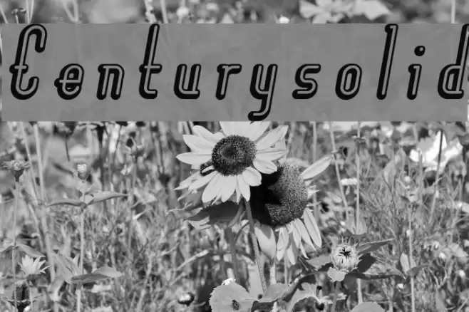 Centurysolid Font examples