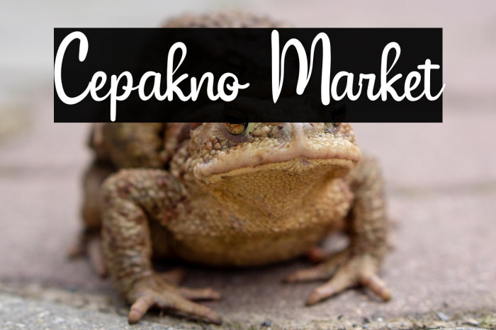 Cepakno Market Example 2