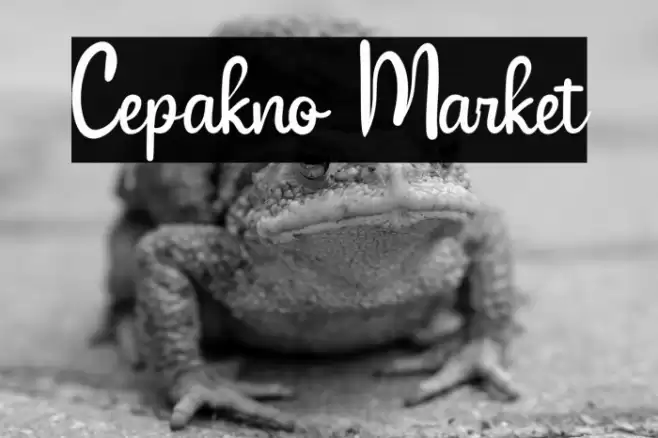 Cepakno Market Font examples