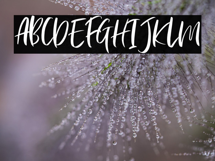 CephaloniaDEMO-Regular Example 1