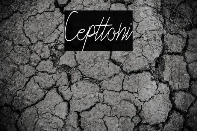 Cepttoni Example 2