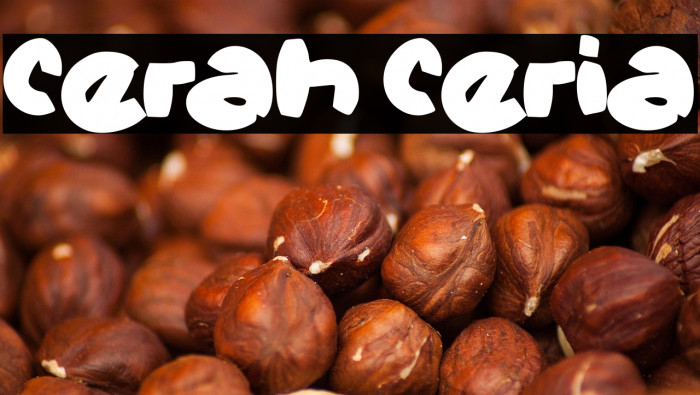 Cerah Ceria Example 1