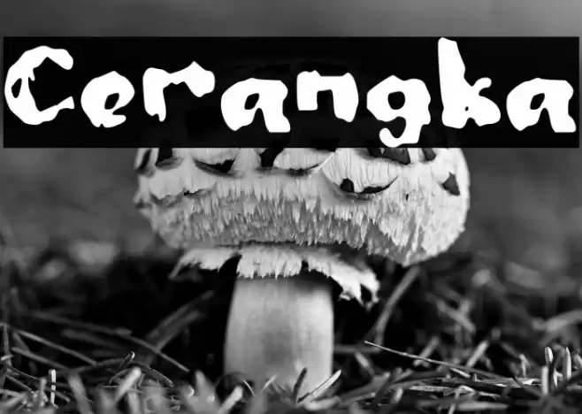 Cerangka Font examples