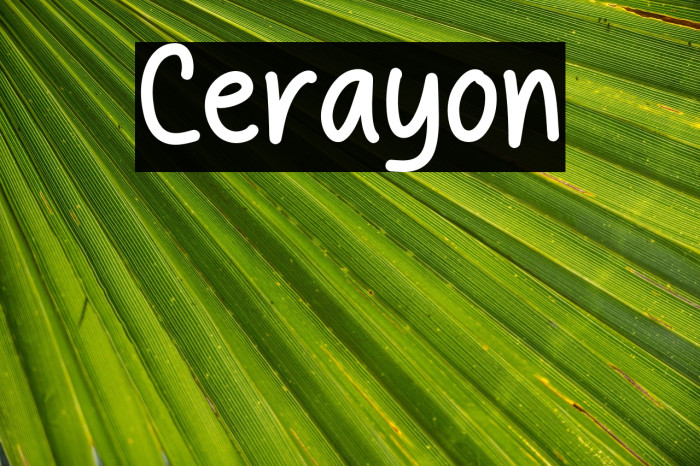 Cerayon Example 2