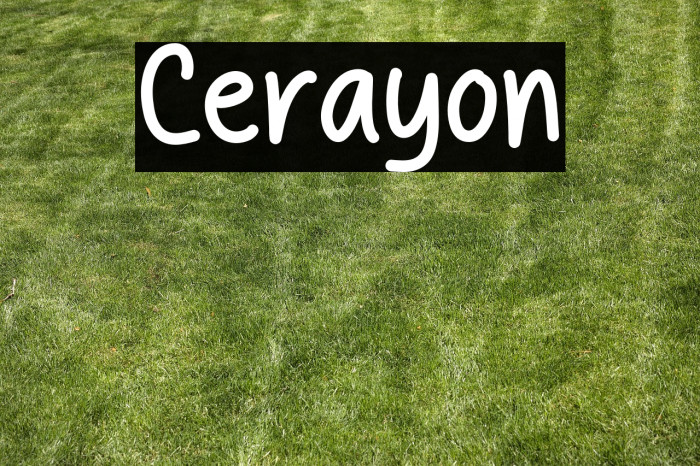 Cerayon Example 3