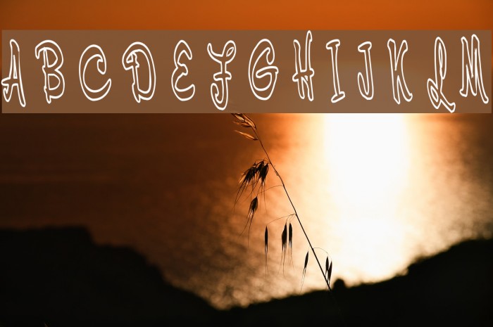 Cerbature Font examples