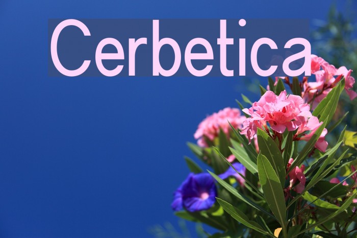Cerbetica Font examples