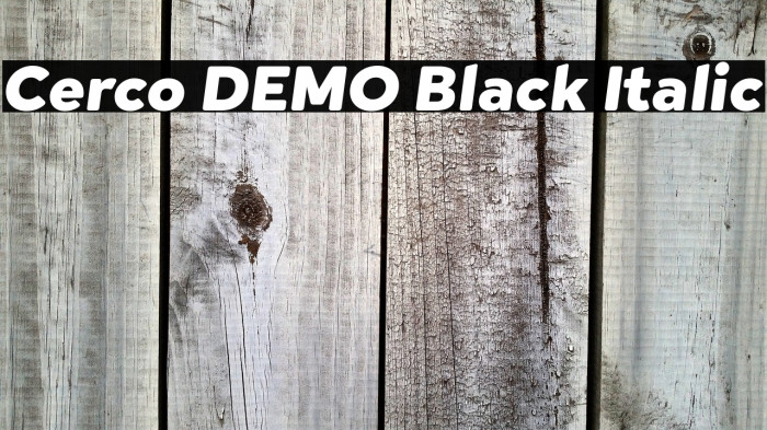 Cerco DEMO Black Italic Example 1