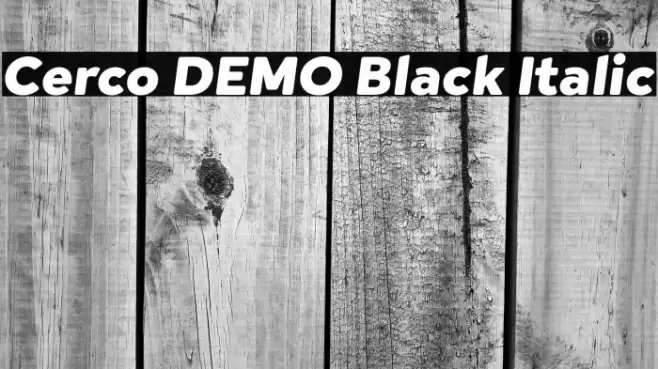 Cerco DEMO Black Italic Font examples