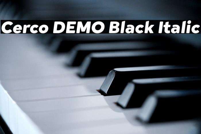 Cerco DEMO Black Italic Example 2