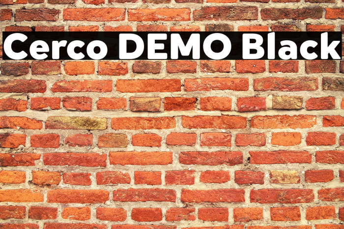 Cerco DEMO Black Example 1