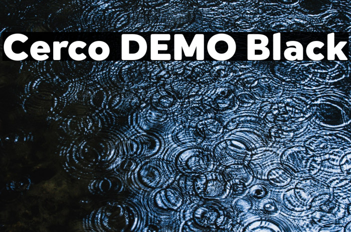 Cerco DEMO Black Example 2