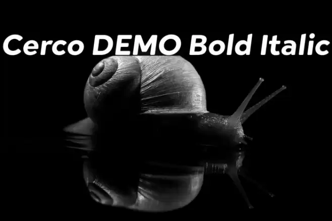 Cerco DEMO Bold Italic Font examples