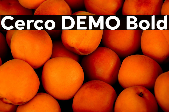 Cerco DEMO Bold Example 2