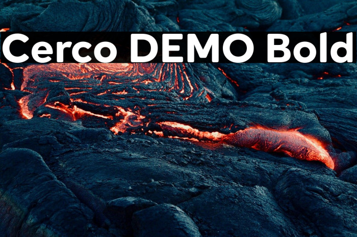 Cerco DEMO Bold Example 3