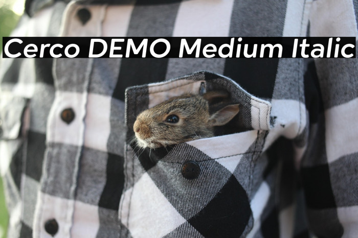 Cerco DEMO Medium Italic Example 2