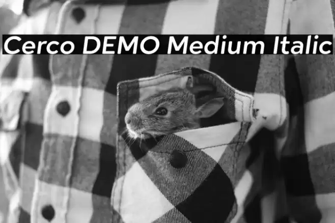 Cerco DEMO Medium Italic Font examples