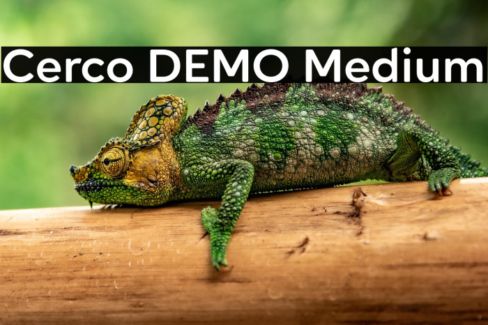 Cerco DEMO Medium Example 1