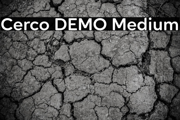 Cerco DEMO Medium Example 2