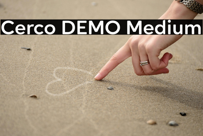 Cerco DEMO Medium Example 3