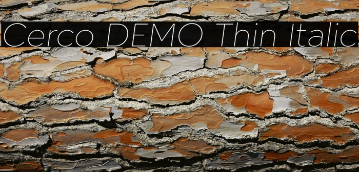 Cerco DEMO Thin Italic Example 2