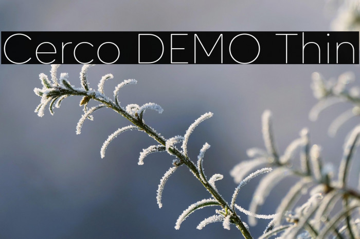 Cerco DEMO Thin Example 1