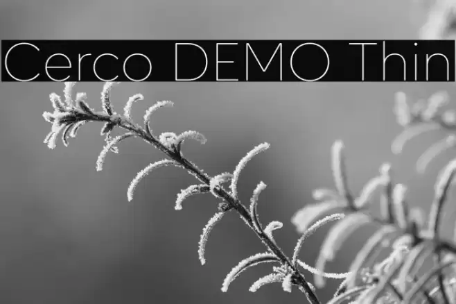 Cerco DEMO Thin Font examples