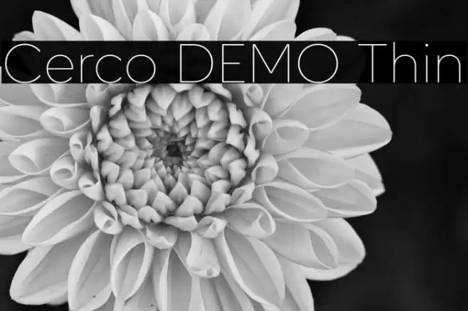 Cerco DEMO Thin Font examples