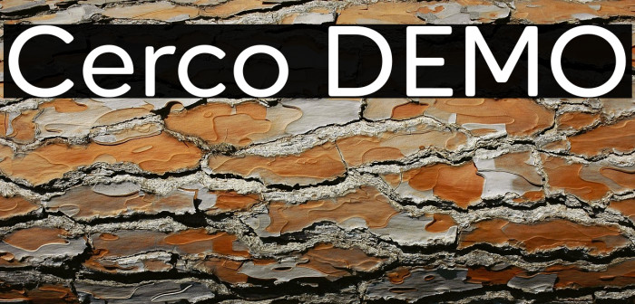 Cerco DEMO Example 1