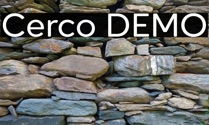 Cerco DEMO Example 3