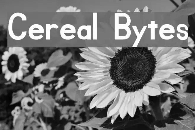 Cereal Bytes Font examples