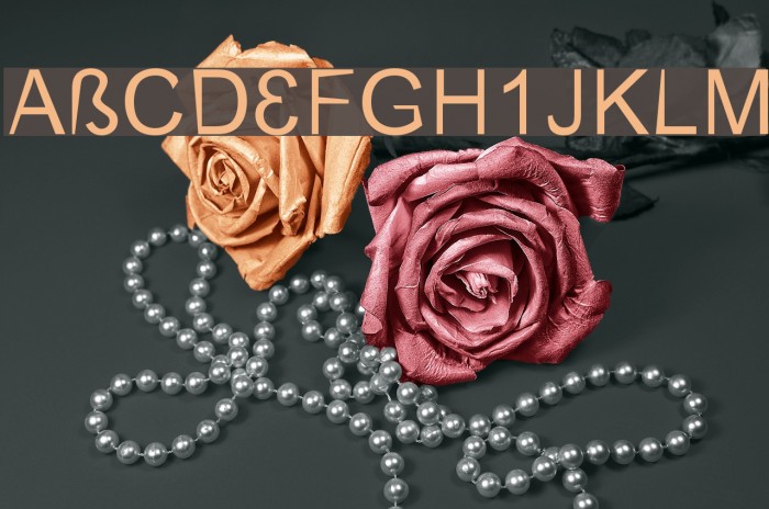 CerebralPares Falk Font examples