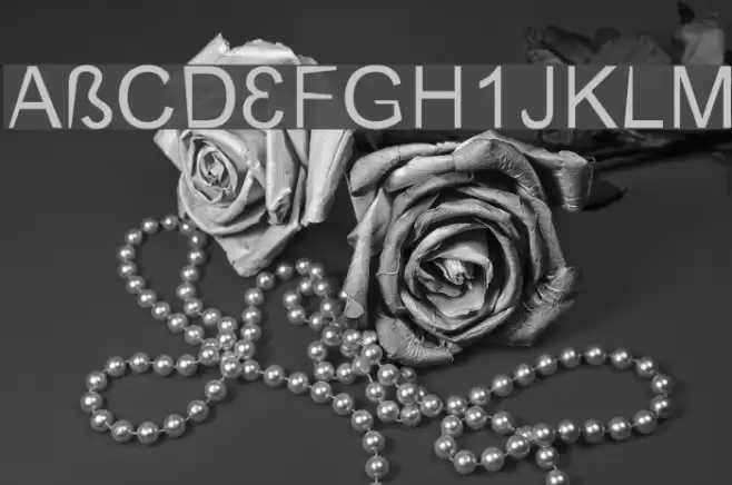 CerebralPares Falk Font examples