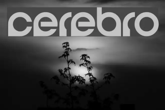 Cerebro Font examples