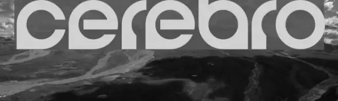 Cerebro Font examples