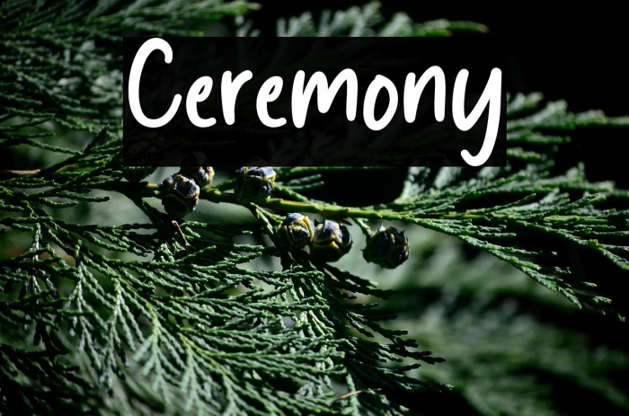 Ceremony Example 2