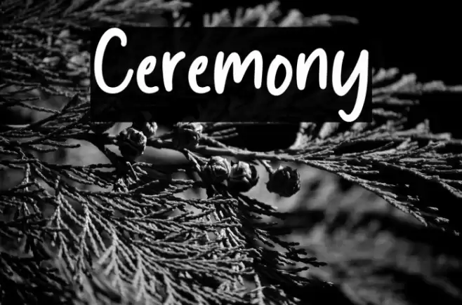 Ceremony Font examples