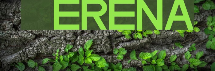 Cerena Font examples
