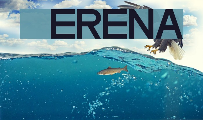 Cerena Font examples