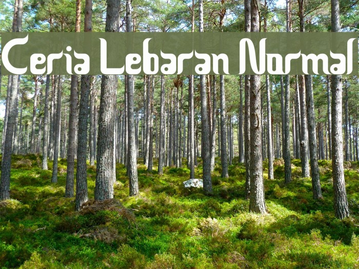 Ceria Lebaran Normal Font examples