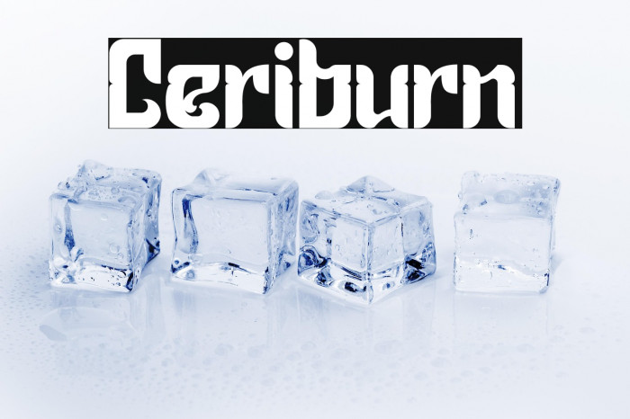 Ceriburn Example 2